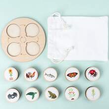 1 Set, 10pcs Animal & Plant Life Cycle Change Cognitive Boards - Multicolor - View 2