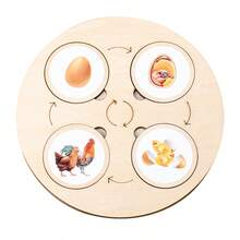 1 Set, 10pcs Animal & Plant Life Cycle Change Cognitive Boards - Multicolor - View 10