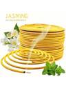 Incense Coil