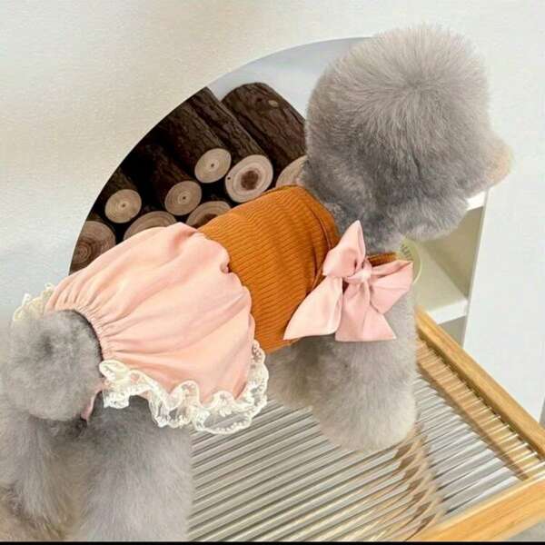1pc Lace Satin Jumpsuit Pet Clothes, Small Dog Cat Apparel Jumpsuit, Spring/Summer/Autumn