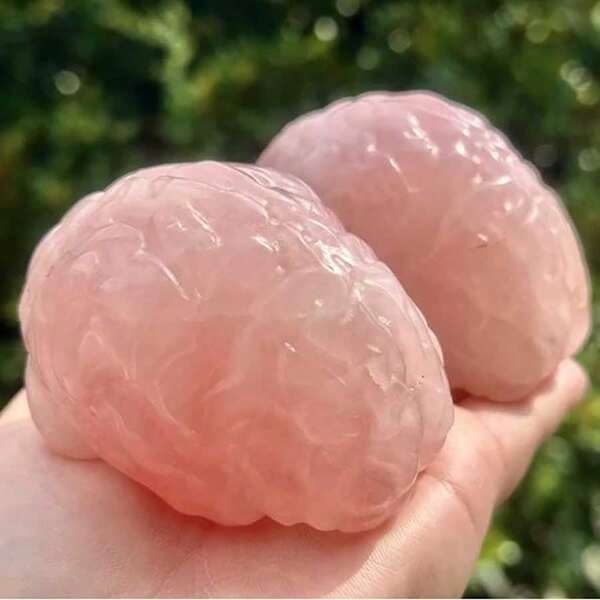 1 pieza Estilo bohemio Cuarzo rosa/Obsidiana negra tallada a mano Cerebro, Regalos de cristal perfectos para seres queridos, Colección de arte para el hogar perfecto, Ideal para decoración del hogar y regalos únicos, Regalo perfecto para coleccionistas