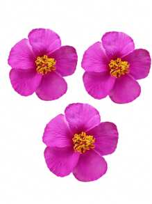 1/3支芙蓉花仿真花，夏威夷派对夏季DIY装饰，草裙舞会发饰 - 彩色 - 查看 19