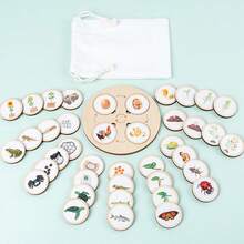 1 Set, 10pcs Animal & Plant Life Cycle Change Cognitive Boards - Multicolor - View 9
