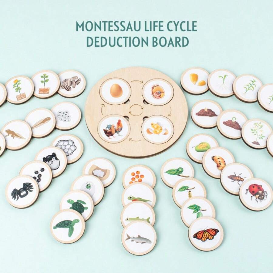 1 Set, 10pcs Animal & Plant Life Cycle Change Cognitive Boards - Multicolor - View 1
