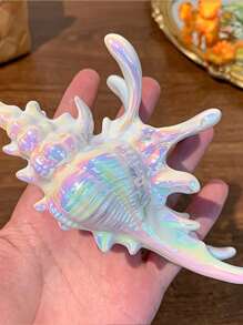 发夹 1 件海洋系列贝壳发爪夹，优雅的个性化发饰，适合休闲聚会、工作、旅行、海滩照片、服装搭配发饰、学校用品、大学秋季配饰