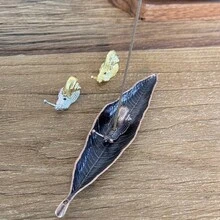 2 piezas/4 piezas Quemador de incienso con diseño de hoja y caracol, colector de cenizas, soporte para varillas de incienso, decoración para sala de meditación, yoga, hogar y oficina