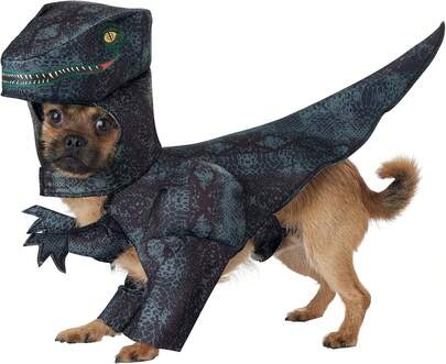 Dog Pupasaurus Rex Costume Small,11276629
