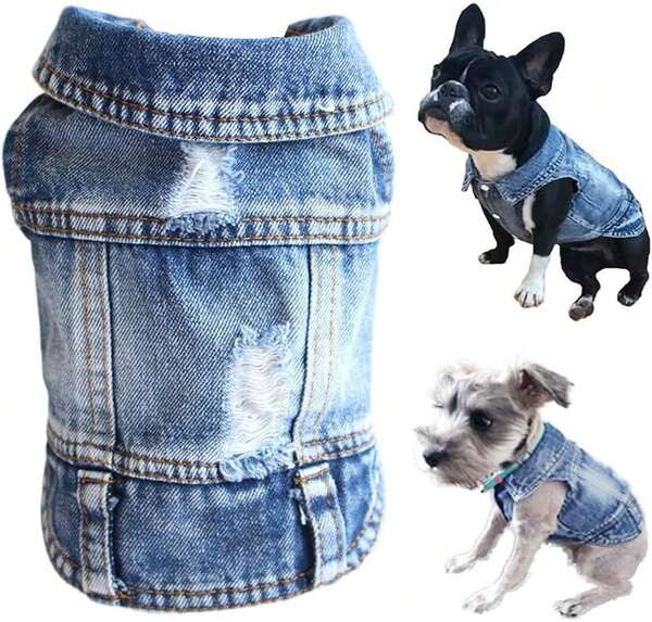 Jean Jacket Puppy Blue Denim Lapel Vest Coat Costume, Dog Boy Girl T-Shirt Clothes, Cool Funny Apparel Outfits, Machine Washable Dog Cat Outfits (S) Medium,11276821