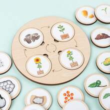 1 Set, 10pcs Animal & Plant Life Cycle Change Cognitive Boards - Multicolor - View 4