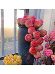 Exquisite Gift Seeds With Free Delivery Free Shipping  Succulent Seeds  200pcs Mountain Rose Seed Fleshy Peach Rose Succulent Plant For Indoor Potting Desktop Decor - 200件 - 查看 4