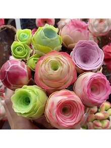 Exquisite Gift Seeds With Free Delivery Free Shipping  Succulent Seeds  200pcs Mountain Rose Seed Fleshy Peach Rose Succulent Plant For Indoor Potting Desktop Decor - 200件 - 查看 3