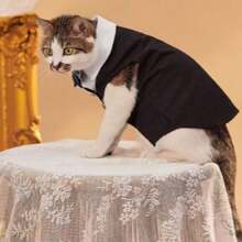 بدلة كلاسيكية للحيوانات الأليفة، بدلة كلب مع فراشة عنق، ملابس رسمية صيفية للكلاب باللون الأسود مع إغلاق بأزرار قطعة واحدة