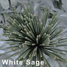 8种香味的香薰棒，每套50支。内置香座，高品质香薰套装。香味包括：咖啡、绿茶、橙子、西柚、桂花、茉莉、薰衣草和桃子。天然木质香薰棒，适用于冥想、瑜伽、放松和旅行。