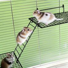 Set de 3 piezas Plataforma de descanso para hámster de dos capas con escalera de acero inoxidable, plataforma colgante de juego y de pie para hámster, estructura de escalada y alimentación multifuncional para roedores, área de juego, entrenamiento y ejercicio para roedores, plataforma para jaula de hámster pequeña, casa de juegos para mascotas pequeñas, múltiples modelos de material de acero inoxidable, adecuado para hámsters, ardillas voladoras, todos los roedores y aves de jaulas para mascotas pequeñas