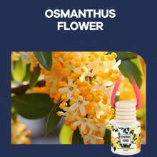 1件8ml汽车香薰吊坠空气清新剂汽车香薰吊坠，可爱车载空气扩散器，持久留香汽车空气清新剂，女士汽车清新剂，去除异味，不刺鼻，持久留香