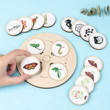 1 Set, 10pcs Animal & Plant Life Cycle Change Cognitive Boards - Multicolor - View 5