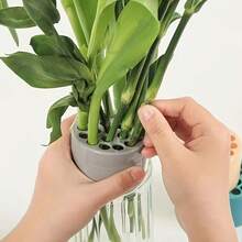 6 piezas (color aleatorio) Soporte de tallo de flor en espiral, herramienta de arreglo floral DIY, herramienta de fijación de tubo/maceta de flor en espiral, accesorio de soporte en espiral para arreglos florales de ramos de flores frescas