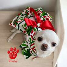 PERRINA DRESS FOR PETS, DOGS, OR CAT. SEPTEMBER 15, MEXICAN PATRIOTIC MONTH. ALL SIZES. - Multicolor - View 1