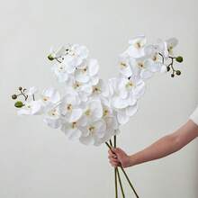 1 朵人造蝴蝶兰花，用途广泛，可用于婚礼仪式、新娘背景、花束、胸花、拱门、派对、礼物、圣诞节、感恩节、返校节、情人节、教师节、母亲节 - 白色 - 查看 5