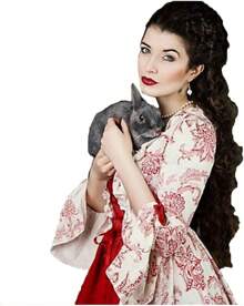 Party Limited Edition  Women's Victorian Rococo Dress Temperament Evening Dress Inspiration Maiden Horn Sleeve Costume