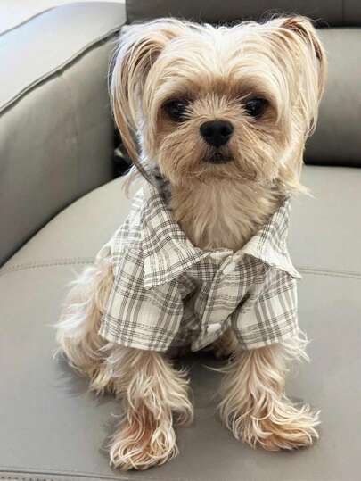 春夏宠物狗和猫格子衬衫服装，适合中小型犬的时尚可爱服装