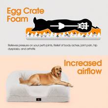 SUN YEE Memory Foam Dog Bed Pet Sofa Calming Bed Washable Removable White Large - White - View 3