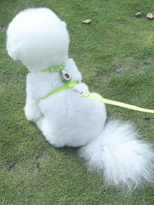 1pc Dog Leash Reflective Chest Harness Vest For Small Dogs, Teddy, Corgi, Pomeranian - Green - View 10