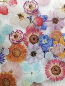 40pcs/Pack Flower Decorative PET Stickers, Scrapbooking Materials - Multicolor - View 1