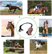 Local Shipping Rubber Whip Equestrianism Horse Whip Crop 35 Inch Riding Crop