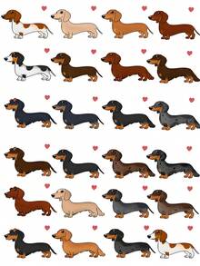 1PC Personalized Customized Dachshund White Mug, Customized Water Cup, Customized Coffee Cup, Customized Halloween, Christmas Gift, Iced Coffee Cup, 24 Dachshund Patterns To Choose From, Customized Iced Coffee Cup - Multicolor - View 3