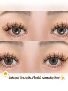 Rikuaild 5 Pairs Cartoon Style Brown False Eyelashes, Anime Style, Fluffy & Natural, Lightweight & Soft, Time-Saving, Brown Lash Extension Tools, Cartoon Doll Transparent Band, Reusable, Natural Lash Look, Makeup False Lashes - Cat eye Lashes - View 2