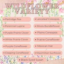 Wildflower Seed Packets Thank You Bunches Party Favors Pack Of 30 Express Gratitude With A Wildflower Seed Mix Pink Cursive Text - hỗn hợp - Xem 4