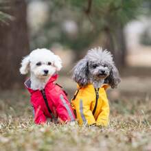 Manteau de pluie pour chien pour toutes les saisons, harnais de poitrine pour animal de compagnie, poncho de pluie, veste imperméable et réfléchissante pour petits et moyens chiens