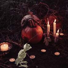 Realistic Plastic Owl Skull Halloween Decorations, Owl Skull Skeleton Bone Props, Animal Bones Skeleton For Haunted House, Graveyard, Halloween Party Decor, Educational Skeleton Props