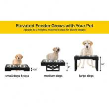 Adjustable Elevated Dog Bowls Station With 2 Stainless Steel Bowls Healthy Digestion Non-Slip Portable Design All Dogs - 彩色 - 查看 4