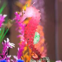 Interesting Glow-In-The-Dark Realistic Seahorse Decor, Adds Magical Lighting To Your Aquarium - Multicolor - View 7