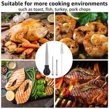 Seasoning Injector & Oil Mister