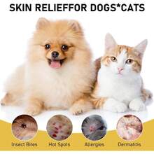 Picture of Pet Skin Treatment Spray For Dogs & Cats, Natural Soothing Spray For ...