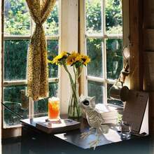 Realistic Plastic Owl Skull Halloween Decorations, Owl Skull Skeleton Bone Props, Animal Bones Skeleton For Haunted House, Graveyard, Halloween Party Decor, Educational Skeleton Props