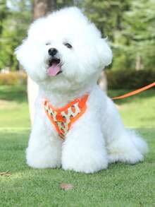 1pc Dog Leash Reflective Chest Harness Vest For Small Dogs, Teddy, Corgi, Pomeranian - Green - View 7