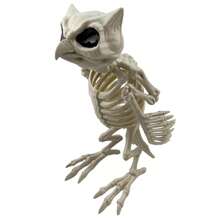 Realistic Plastic Owl Skull Halloween Decorations, Owl Skull Skeleton Bone Props, Animal Bones Skeleton For Haunted House, Graveyard, Halloween Party Decor, Educational Skeleton Props