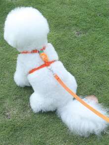 1pc Dog Leash Reflective Chest Harness Vest For Small Dogs, Teddy, Corgi, Pomeranian - Green - View 8