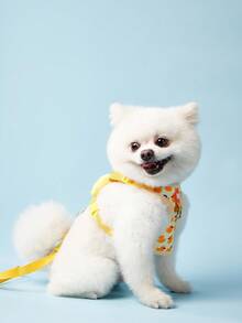 PETSIN 卡通鸭子狗背带和牵引绳套装可调节小狗项圈带宠物猫背带背心适用于法国斗牛犬散步配件 - 查看 6