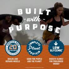 CLIF Protein Bars Chocolate Peanut Butter Flavor Plant Protein Gluten Free Bars 6ct