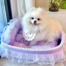 1个可爱四季宠物床，适合体重不超过6公斤的猫咪和小型犬，蕾丝颜色随机发货 - 彩色 - 查看 18