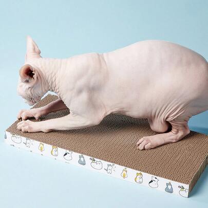 PETSIN 超大瓦楞纸板猫抓柱 - 耐用的室内猫抓柱，双面波浪纹设计，防滑底座，家具保护器和爪子护理