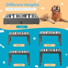 Elevated Dog Bowls With 2 Stainless Steel Dog Food Bowls, Raised Dog Bowl Adjusts To 5 Heights (3.15", 8.66", 9.84",11.02", 12.2") For Small Medium And Large Dogs