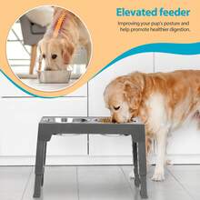 Elevated Dog Bowls With 2 Stainless Steel Dog Food Bowls, Raised Dog Bowl Adjusts To 5 Heights (3.15", 8.66", 9.84",11.02", 12.2") For Small Medium And Large Dogs