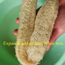 Esponja de lufa Natural, herramienta de limpieza multiusos para cocina, baño, depurador para limpieza diaria, depurador corporal, Spa, 1 Uds. KMJH