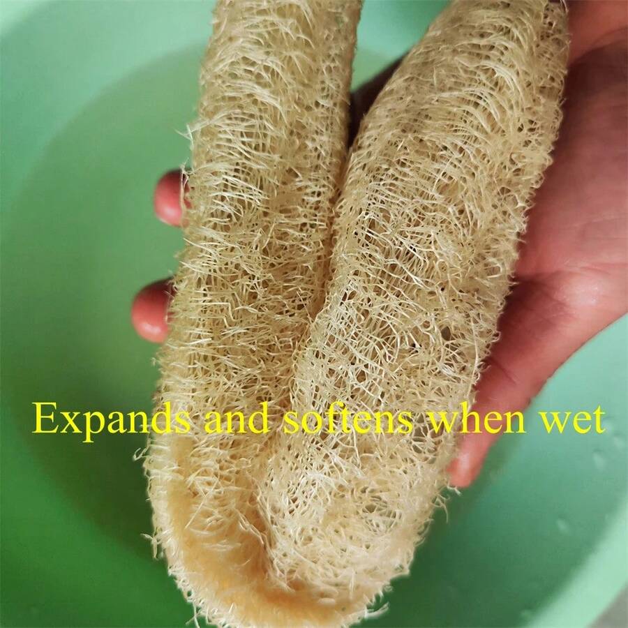 Esponja de lufa Natural, herramienta de limpieza multiusos para cocina, baño, depurador para limpieza diaria, depurador corporal, Spa, 1 Uds. KMJH